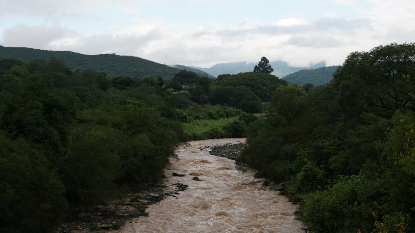 Río en Verano