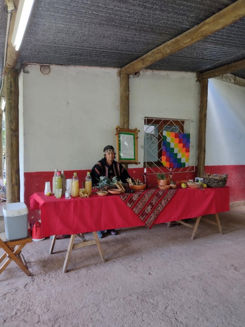 Cacique Margarita Domínguez exponiendo productos artesanales como vasijas de arcilla, cubiertos de madera y bebidas obtenidas a partir de fruta y hierbas autóctonas.